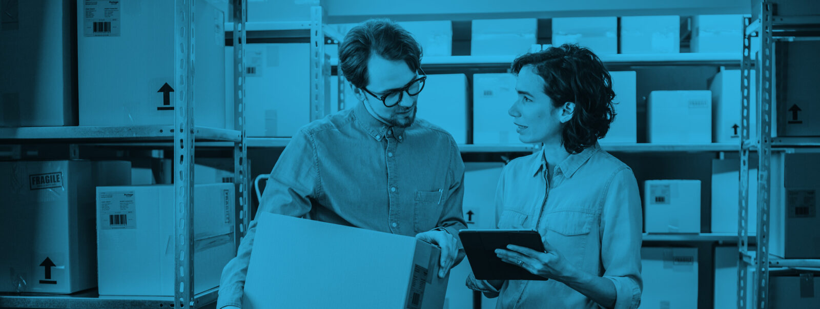 supply chain variability